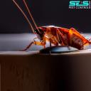 SES Pest Control Hopper Crossing logo